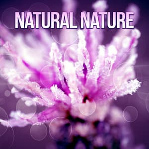 Natural Nature - Mute with Nature, New Energy, Murmur Brook, Sounds Water, Birds Twitter - The Calming Sounds Of Nature