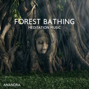 Forest Bathing Meditation Music: Shinrin-Yoku, Sink into Nature, Increase Happiness, Health, Vitality - Anandra