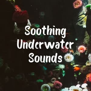 Soothing Underwater Sounds - Ocean Sounds White Noise For Sleep
