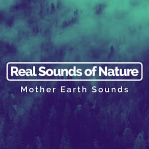Real Sounds of Nature - Mother Earth Sounds