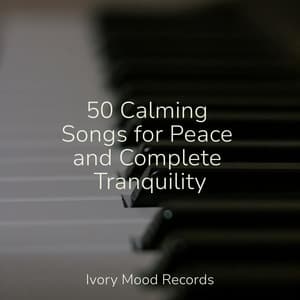 50 Calming Songs for Peace and Complete Tranquility - Ivory Mood