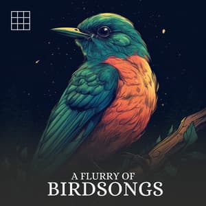 #01 A Flurry of Birdsongs - Bird Sounds