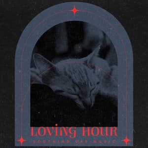 Loving Hour - Soothing Cat Music