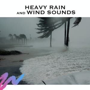 Heavy Rain and Wind Sounds - Serene Rose