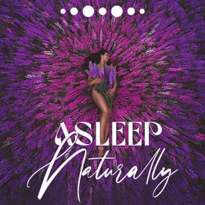 Asleep Naturally: Sleep Aid for Everybody, Colorful Spirit, Natural Essence, Quiet Temper - Henry Northe