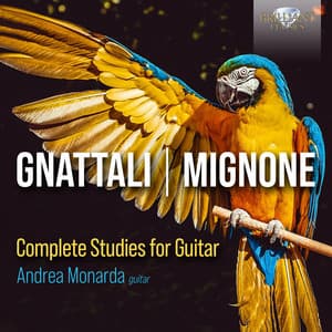 Gnattali, Mignone: Complete Studies for Guitar - Andrea Monarda
