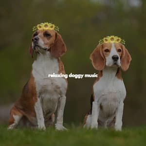 relaxing doggy music - Reading Background Music