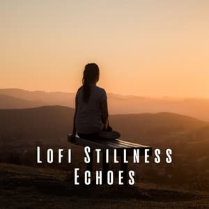 Lofi Stillness Echoes: Ambient Meditation Music - Zleept