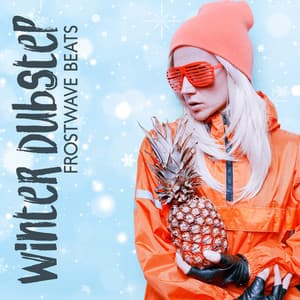Winter Dubstep: Frostwave Beats for Winter Nights - Dj Dub FX