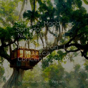 Serene Mood - Sonidos De La Naturaleza | Masaje | Relajación | Música | Concentración - Musica para Meditar