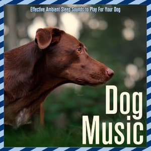 Dog Music: Effective Ambient Sleep Sounds to Play For Your Dog - Dog Music