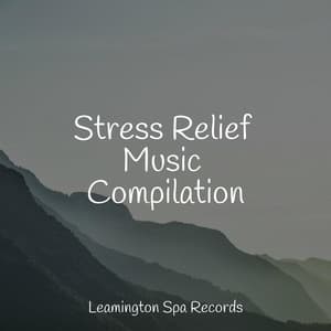Stress Relief Music Compilation - Soothing Baby Music