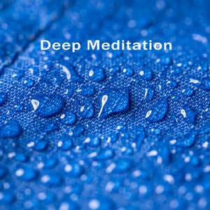 Rainy Day & Gentle Piano Melodies : Relaxing Music for Deep Meditation, Sleeping Time, Short Nap, Relaxation Vibes - Piano Virtuo