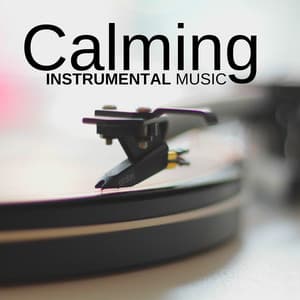 Calming Instrumental Music CD - Soft Songs for Anxious People - Calming Piano Music