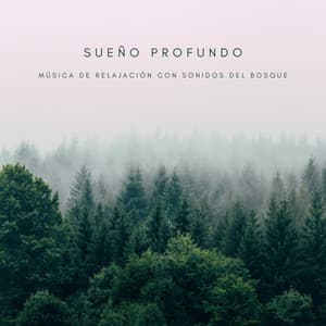 Sueño Profundo: Música De Relajación Con Sonidos Del Bosque - Sonidos de la Naturaleza Ruido Blanco Para Bebes