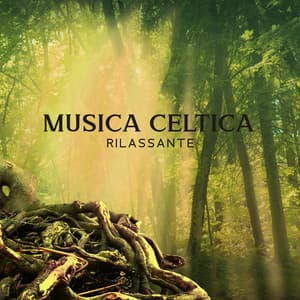 Musica Celtica Rilassante – Irish Folk Ambiance - Vibrazioni Dal Mondo