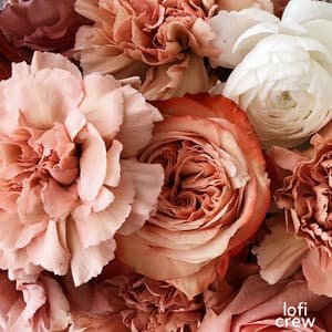 Gentle Lofi for Brain Power - Exam Busters