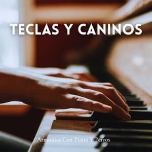 Teclas Y Caninos: Armonías Con Piano Y Perros - RPM (Relaxing Piano Music)
