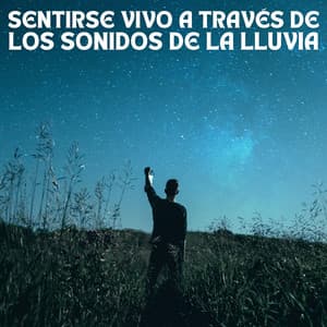 Sentirse Vivo A Través De Los Sonidos De La Lluvia - Sonidos de lluvia para ayudar a dormir