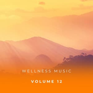 Wellness Music Vol. 12 - Zen Music Garden