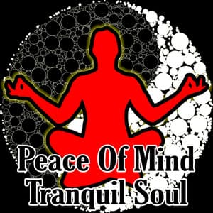 Peace Of Mind Tranquil Soul - Meditation Masters