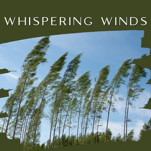 Whispering Winds - Tranquility Oasis