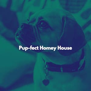 Pup-fect Homey House - Chilled Jazz Party