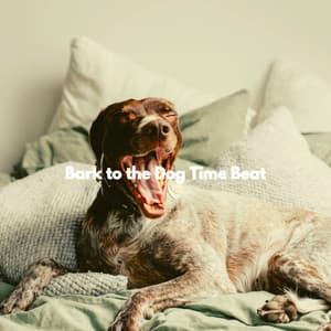 Bark to the Dog Time Beat - Relaxing Dog Music Radio