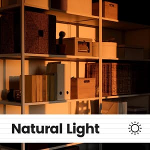 Natural Light - Study Piano Relaxation