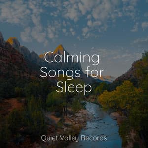 Calming Songs for Sleep - Relaxing Nature Music