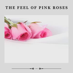 The Feel of Pink Roses - Pink Noise Babies