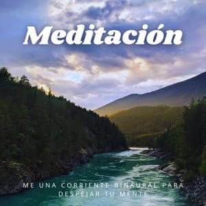 Meditación: Una Corriente Binaural Para Despejar Tu Mente - La Mente Binaural