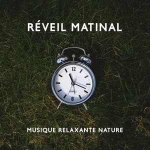 Réveil matinal: Musique relaxante nature, Sons apaisants pour se réveiller - Ensemble de Musique Zen Relaxante
