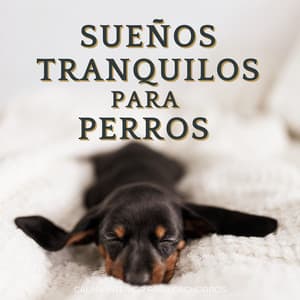 Sueños Tranquilos Para Perros: Calma Interior Para Cachorros - Aire relajante