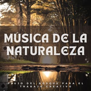 Música de la Naturaleza: Flujo del Bosque para el Trabajo Creativo - Sonidos relajantes de la selva tropical