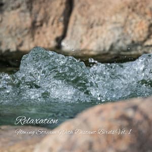 Relaxation: Flowing Stream With Distant Birds Vol. 1 - Relaxing Music Playlist
