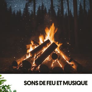 Sons de Feu et Musique : Danse sous les Étoiles - Relajacion