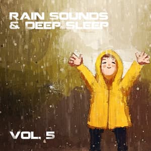 Rain Sounds and Deep Sleep, Vol. 5 - The Premier Deep Sleep Rain Experts