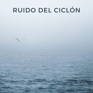 Ruido Del Ciclón - Bonitos ruidos de lluvia