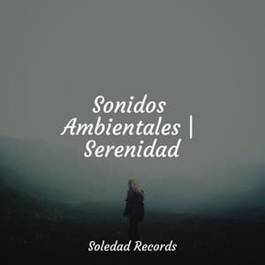 Sonidos Ambientales | Serenidad - Musica Relajante & Yoga