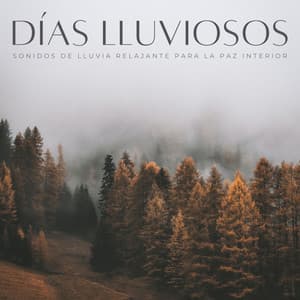 Días Lluviosos: Sonidos De Lluvia Relajante Para La Paz Interior - Música de día lluvioso