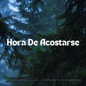 Música A La Hora De Acostarse: Sonidos Relajantes De La Lluvia Y La Naturaleza Para Quedarse Dormido - Lluvia Ruido Dormir