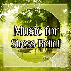 Music for Stress Relief – Relax Yourself with New Age, Nature Sounds to Relax, Soft Music - Nature Sounds Universe