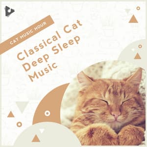 Classical Cat Deep Sleep Music - Cat Music Hour