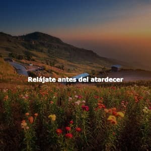 Relájate antes del atardecer - French Cafe Jazz Relaxation