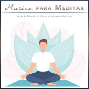 Musica para Meditar: Música de Relajación en El Spa y Música para La Meditación - Musica para Meditar