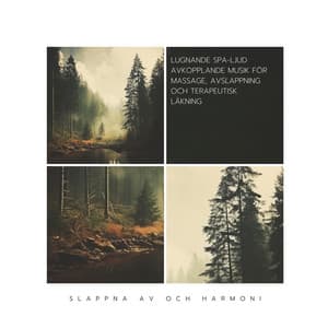 Lugnande Spa-ljud: Avkopplande Musik för Massage, Avslappning och Terapeutisk Läkning - Slappna av och Harmoni