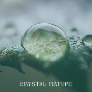Crystal Nature: Relaxing Ocean Waves, Bird Songs, Forest Soundscapes, Flowing River - Pure Sound Universe