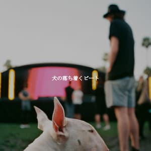 犬の落ち着くビート - Coffee Shop Music