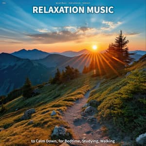 #01 Relaxation Music to Calm Down, for Bedtime, Studying, Walking - Quiet Music
